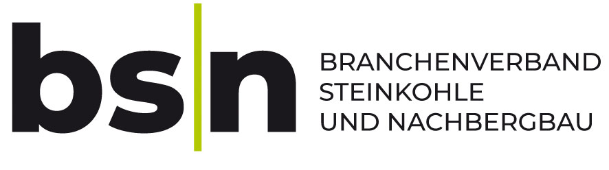 Logo Bsn Rgb